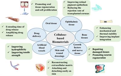 Modifications of cellulose-based biomaterials for biomedical applications